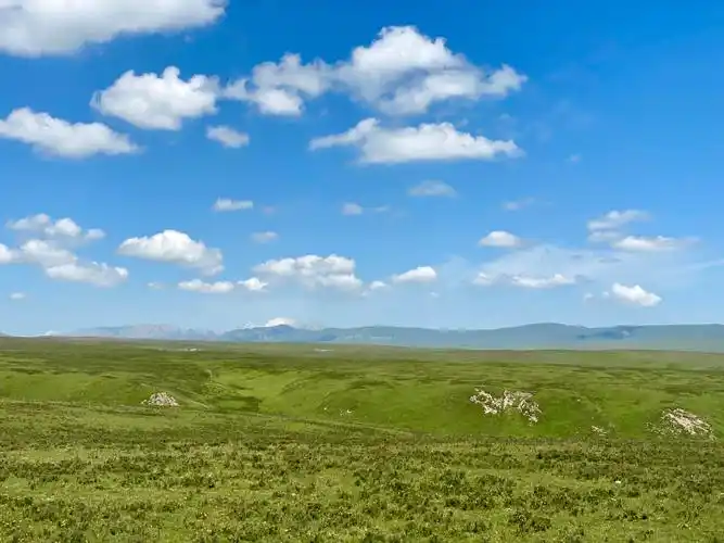写美篇美仁大草原位于甘肃省合作市东,这里是青藏高原特有的高山草甸