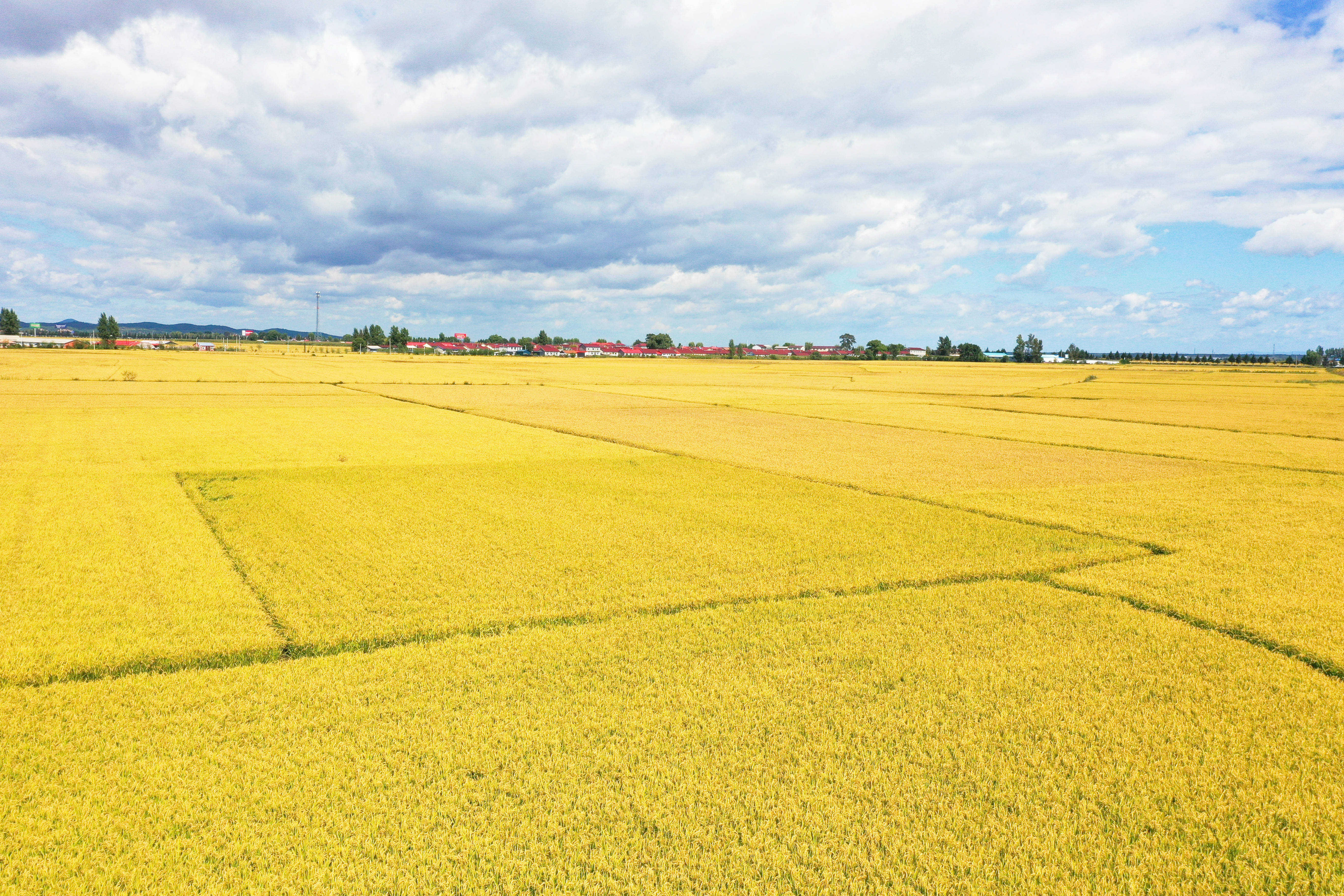 礼赞丰收节,看通化的"三农嘉年华"_田野