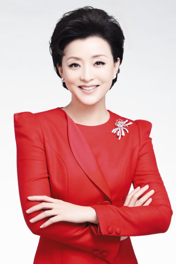 杨澜的个人简历,杨澜个人资料简介(杨澜:与普通丈夫离婚)