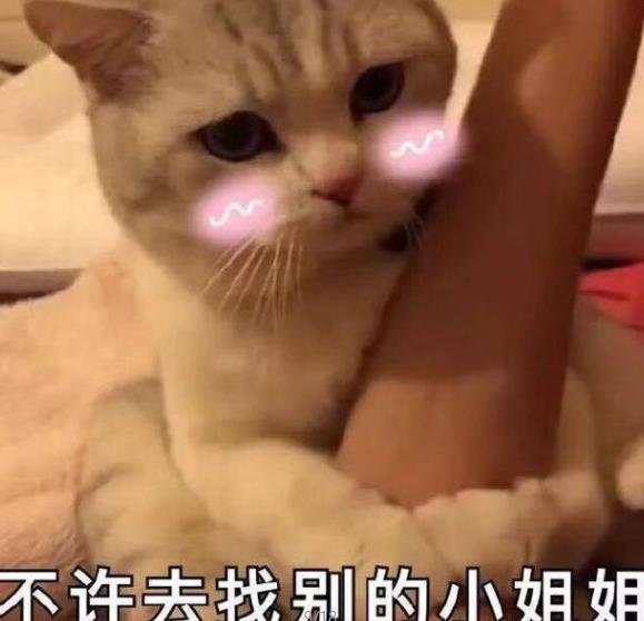 女生撩汉专用表情包,撒娇打滚求抱抱,都没这个好用