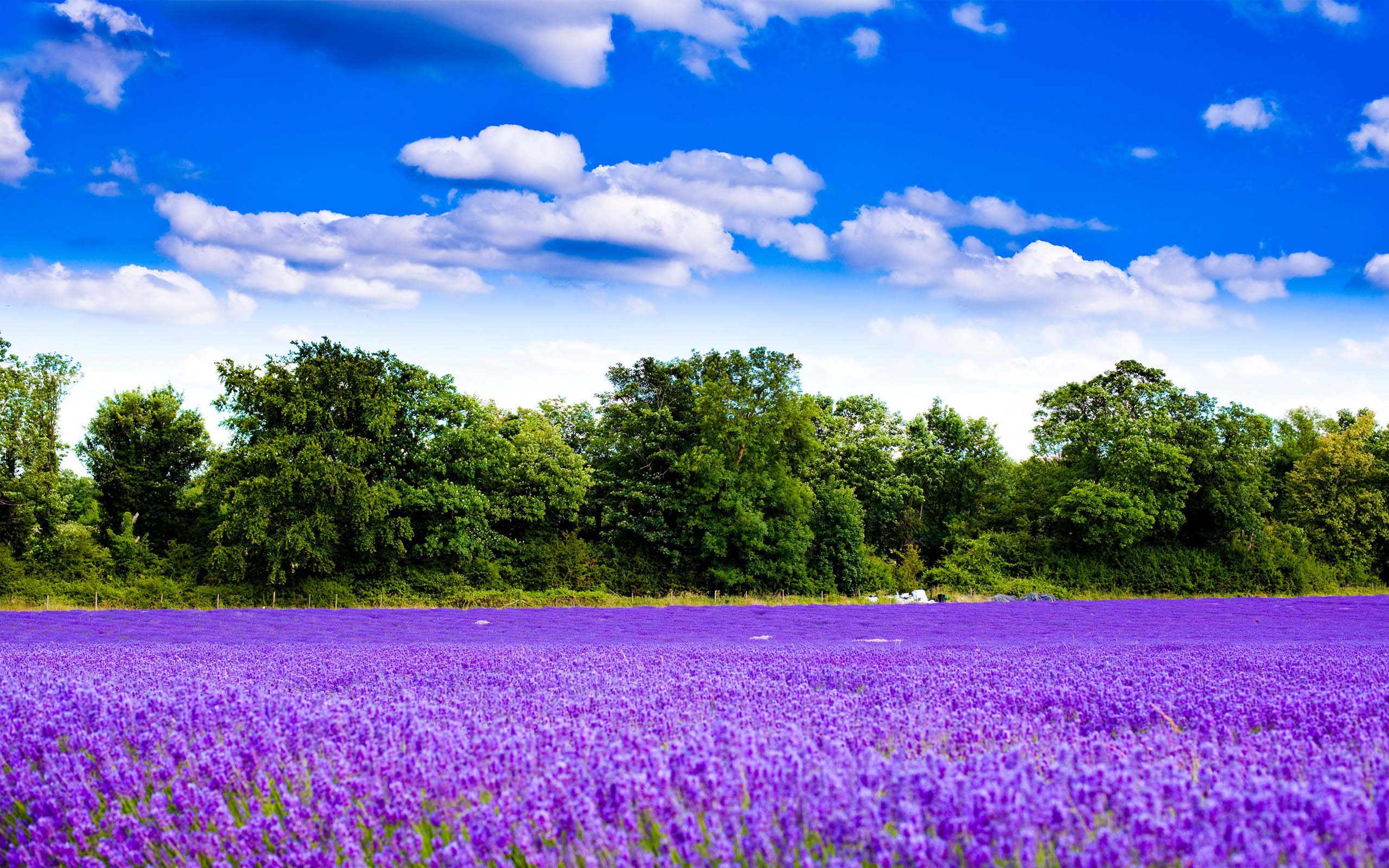 唯美高清山川风景宽屏桌面电脑壁纸