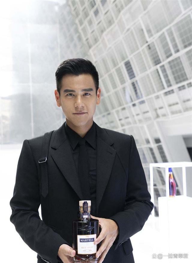 彭于晏是一位既有高颜值又有精湛演技的人类高质量男星,在海内外都