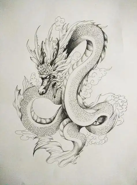 龙的素描画龙的素描画图片