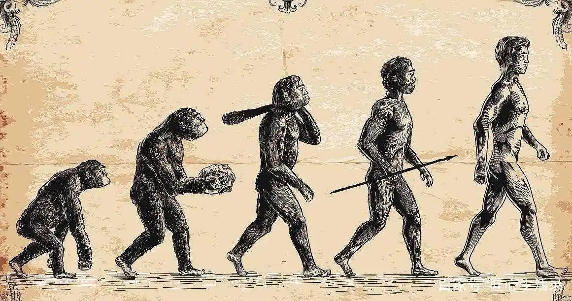 同样是人猿进化来的,为何男人保留下来了胸毛,女人却没有?