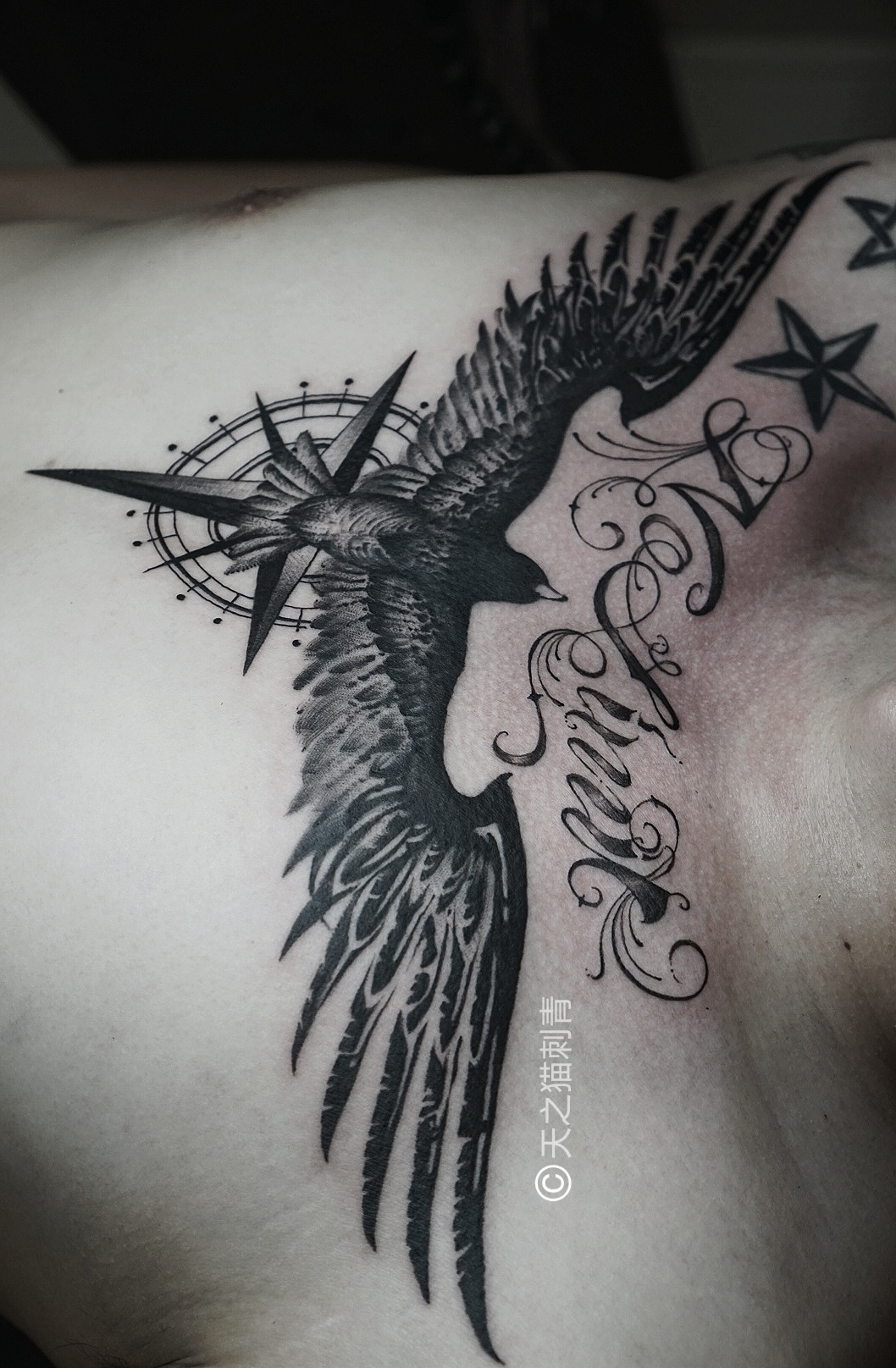 雄鹰胸口花胸翅膀纹身/天之猫刺青