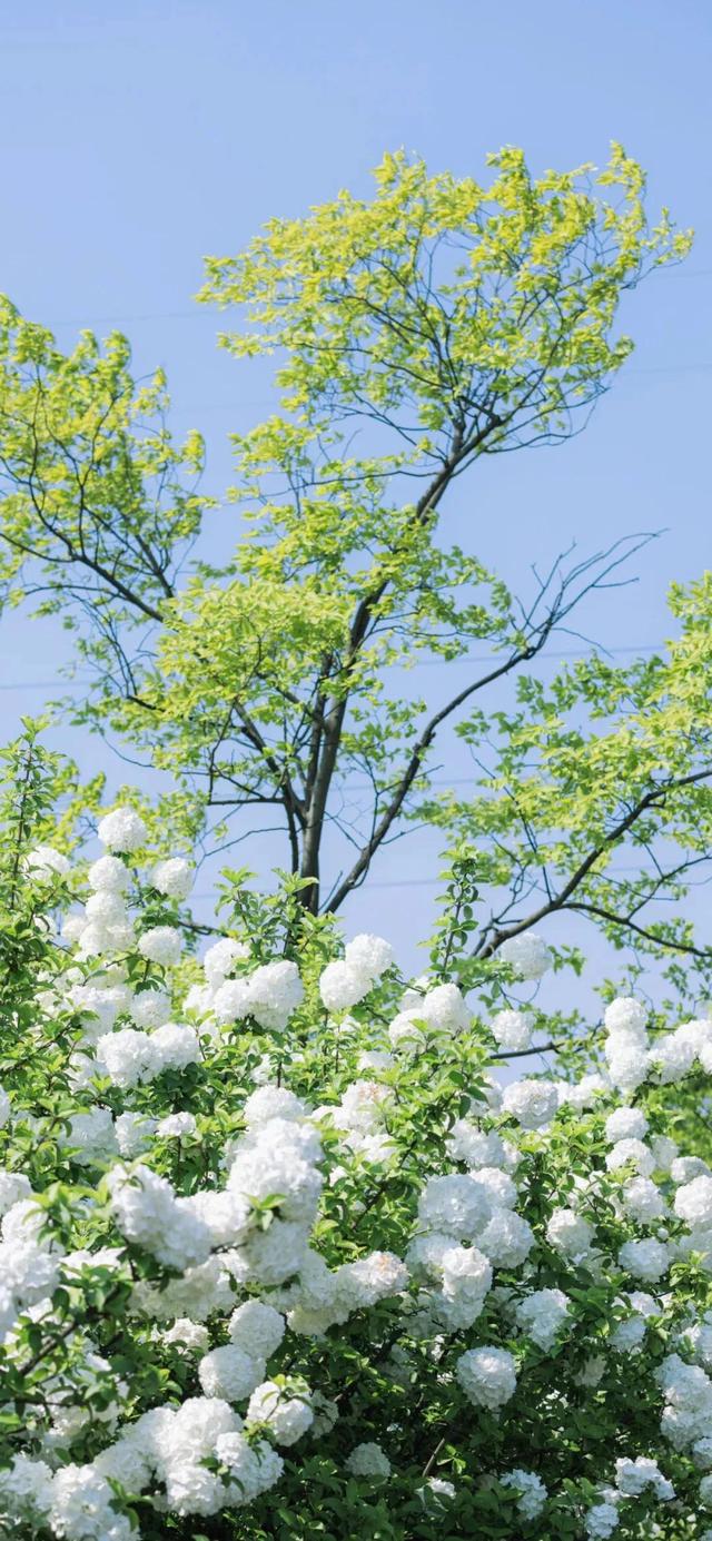 夏日小清新唯美治愈风景图,夏季清新唯美图片(夏日清新壁纸)