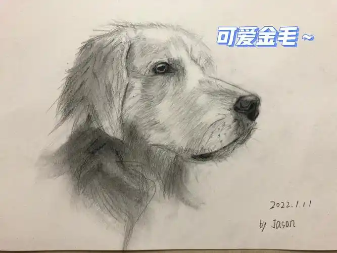 非绘画专业素描小白自画分享步骤图