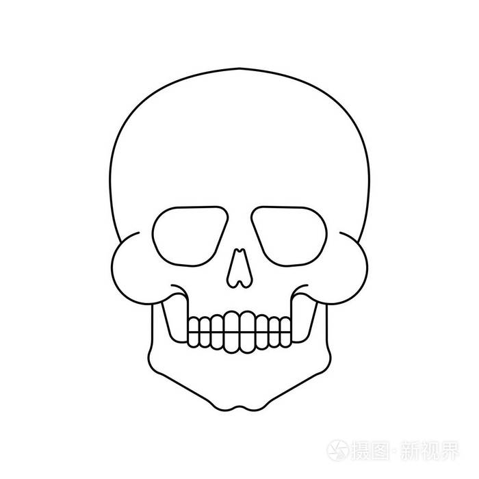 插画 孤立的头骨.骨架头部矢量插图.象征海盗和恶魔.eps