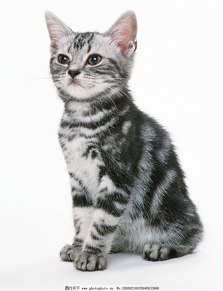 卡通情侣黑白皮肤图片_接线图分享