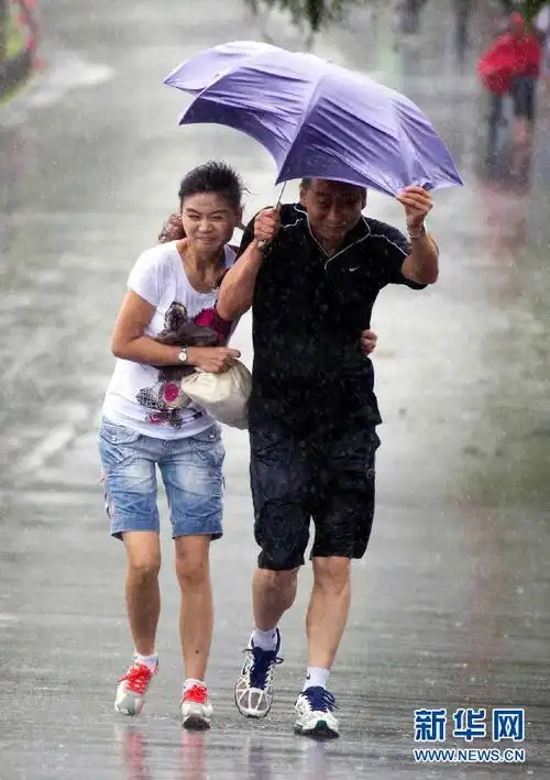 8月8日,在杭州西湖白堤,游客顶风冒雨艰难前行.