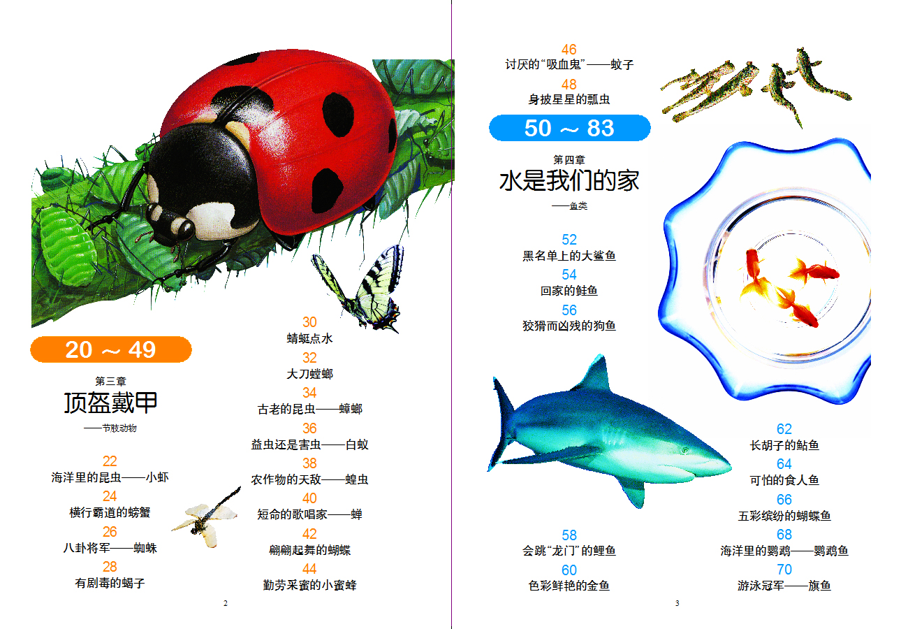 动物王国大揭秘 新阅读注音版6-8-12岁儿童科普读物一二三年级小学生