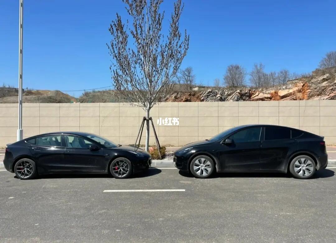 model3p和长续航y价格差不多的情况下该怎么选#特斯拉modely  #特斯拉