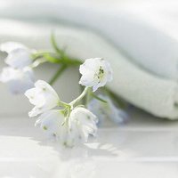 安静唯美风景头像_微信头像图片大全