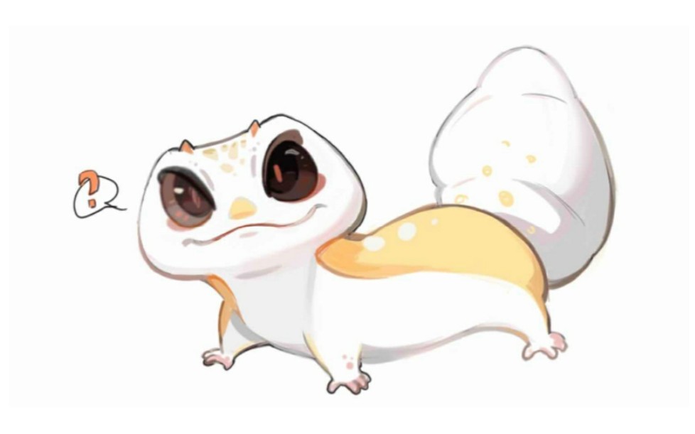 【毫升】怎么处理豹纹守宫的腹积水 萌新看完再也不用担心了