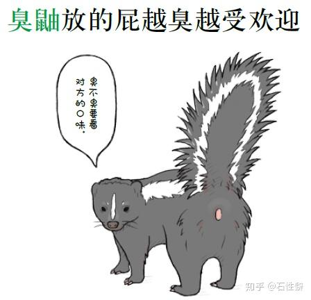 问世间高手何处,放臭屁7天不散臭鼬因为放的屁奇臭无比而出名,不过那