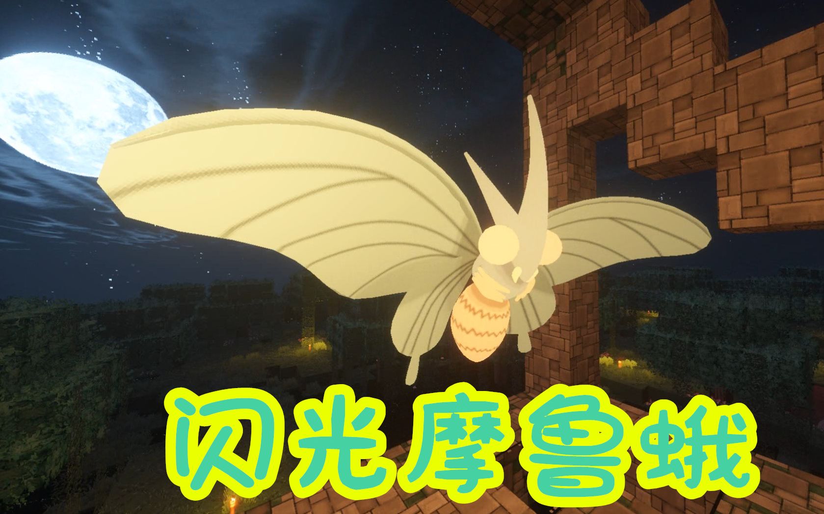 z小驴我的世界神奇宝贝1122第23期闪光毛球进化