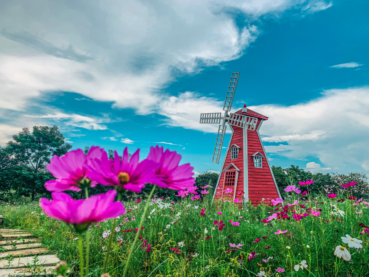 北部湾花卉小镇