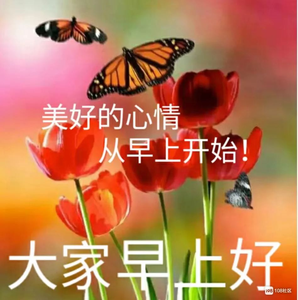 腊月二十七周二群发早上好问候祝福动态表情图片2020最美早晨好问候