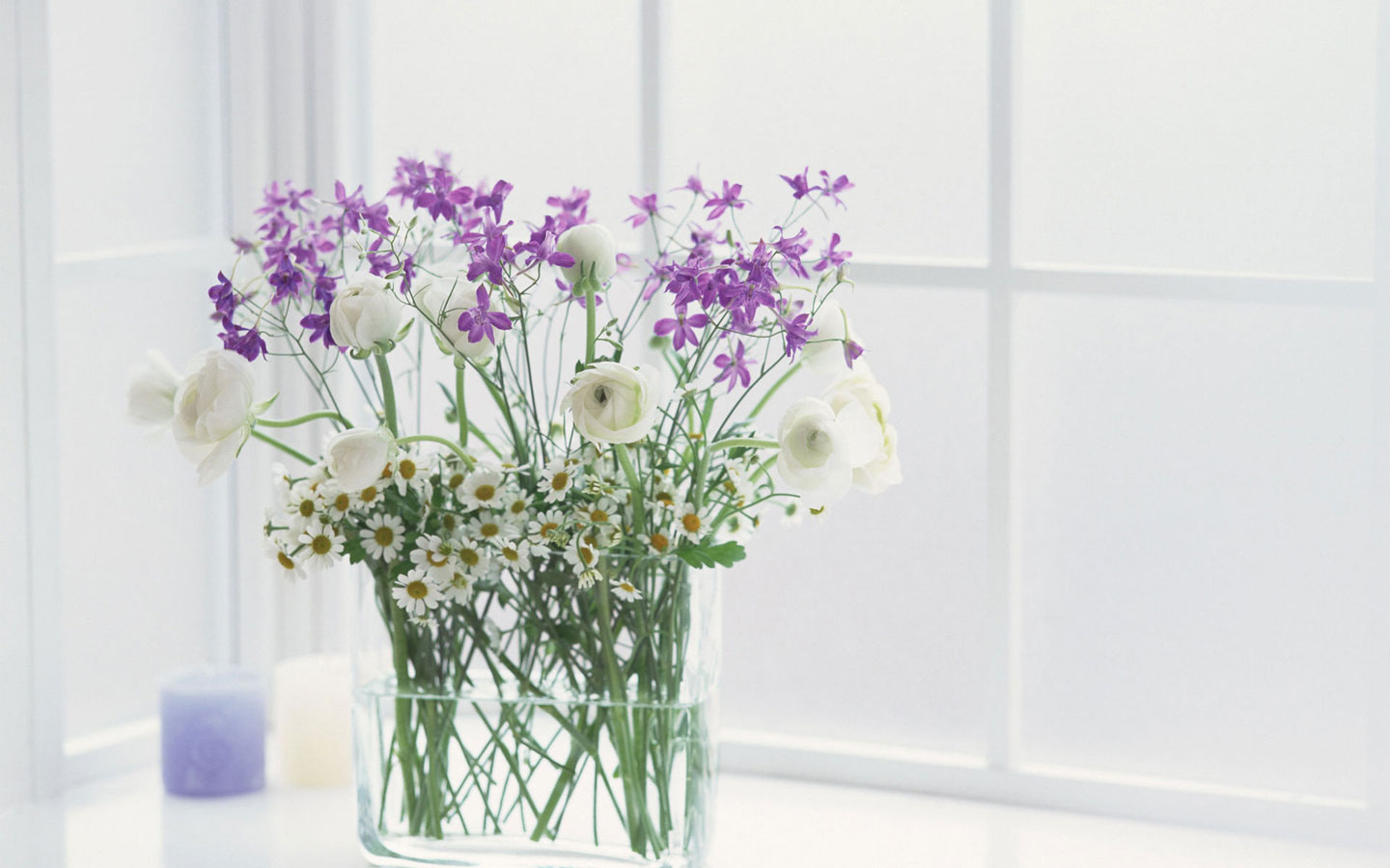 简单可爱小清新鲜花桌面壁纸