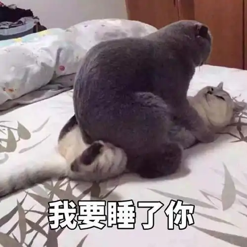 有点污的表情包