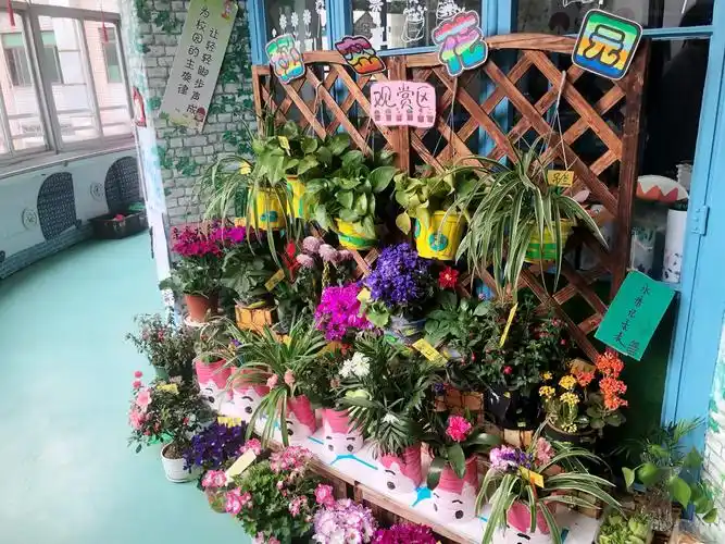 一花一世界,一草一意境——宁波市德财幼儿园春季自然角评比