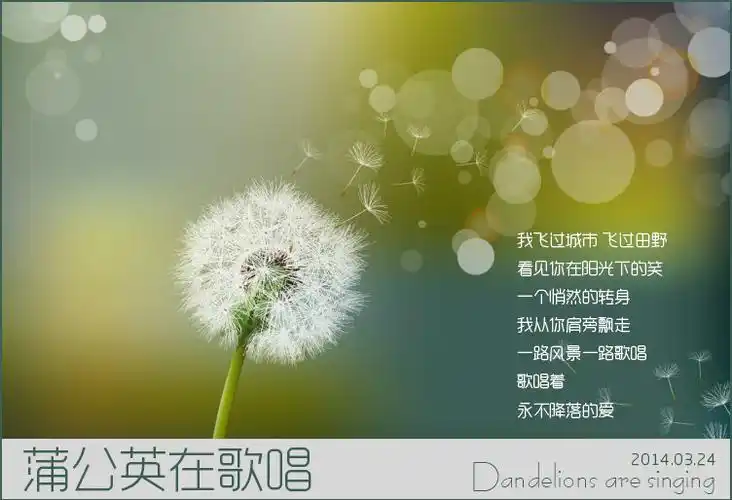 蒲公英在歌唱