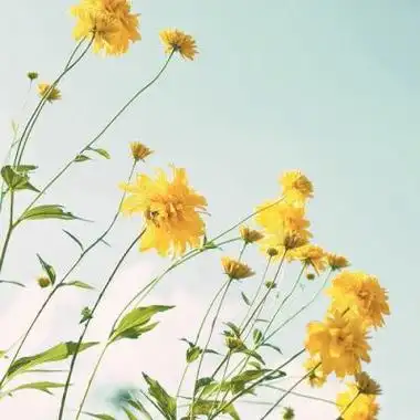 女人发财头像,高清女人招财转运的微信头像图片_风水头像_头像屋