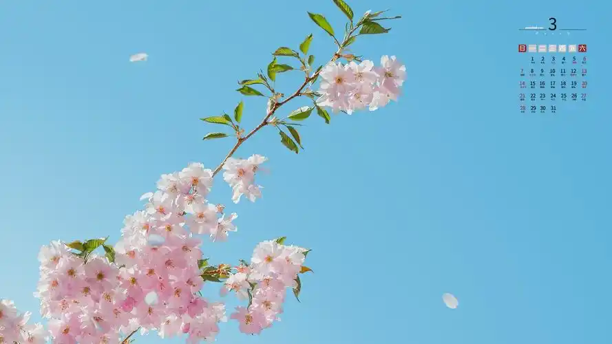 2021年3月唯美淡雅的樱花风光日历,月历壁纸-回车桌面