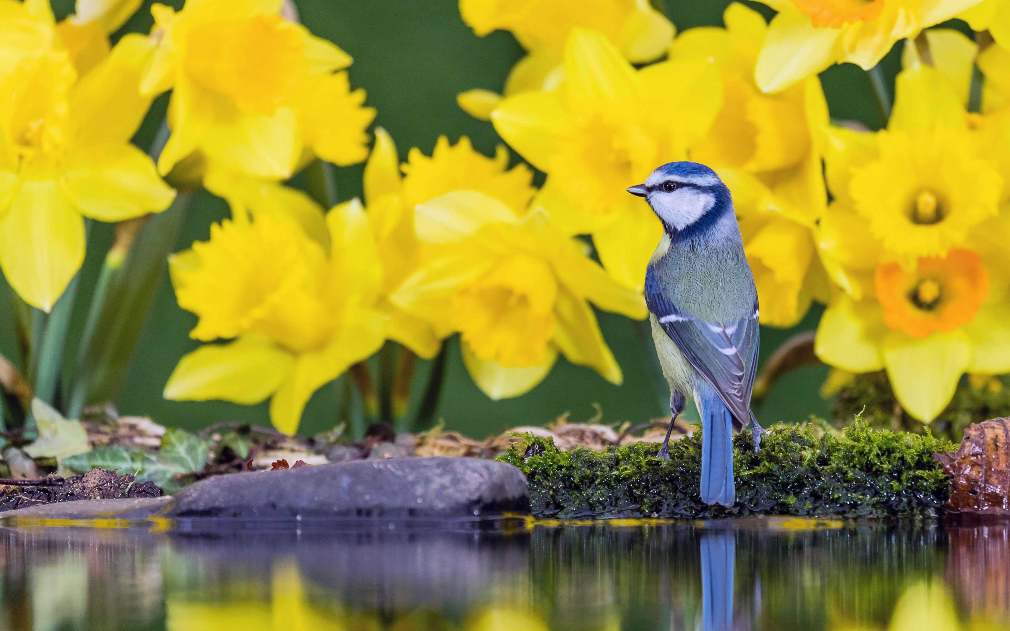 必应壁纸月度100秒大赏!2021年3月
