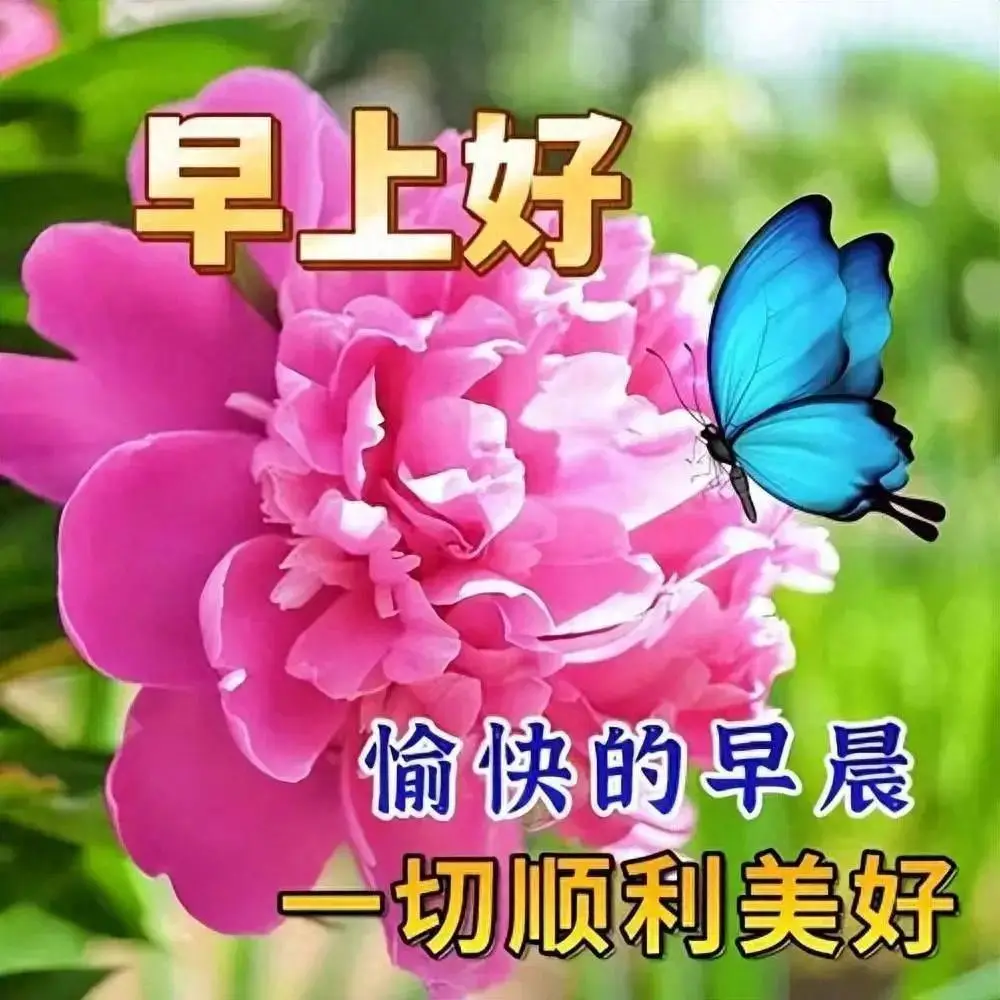 2月6日周二早上好,精选最新版早安祝福语图片表情大全,万事顺心,事事