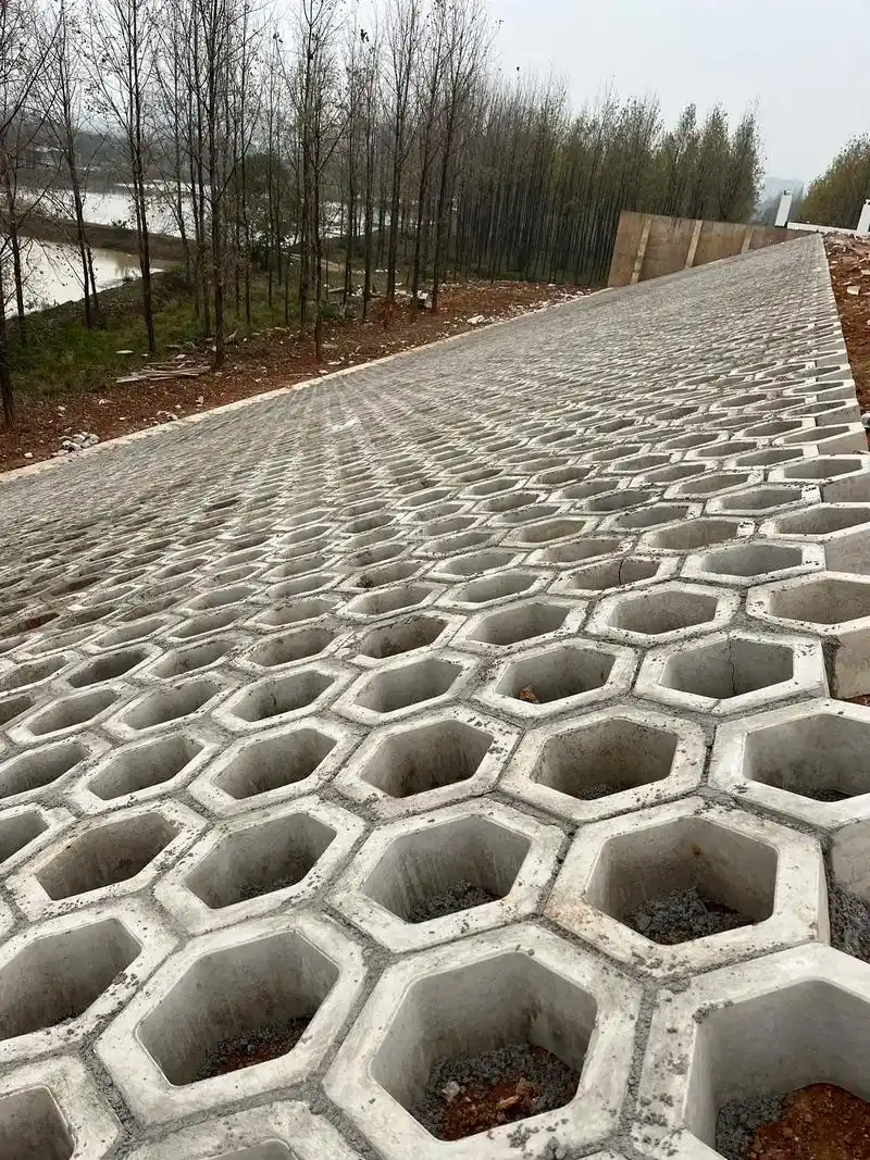 厂家直销供应质量可靠性能优良的透水砖