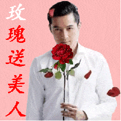 胡歌玫瑰花送美人斗图红色gif动图_动态图_表情包下载_soogif