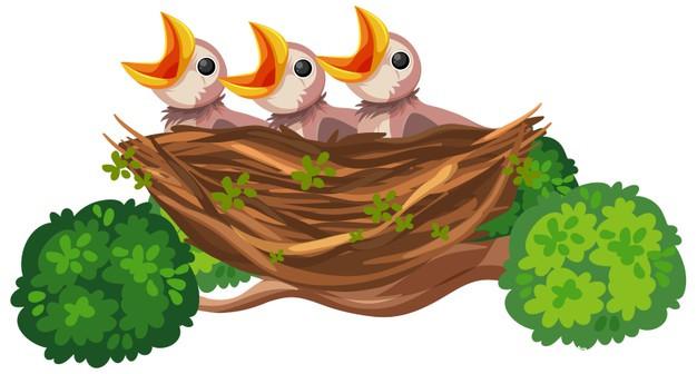 漫画鸟巢,没有焰火盛况,但有温馨自然