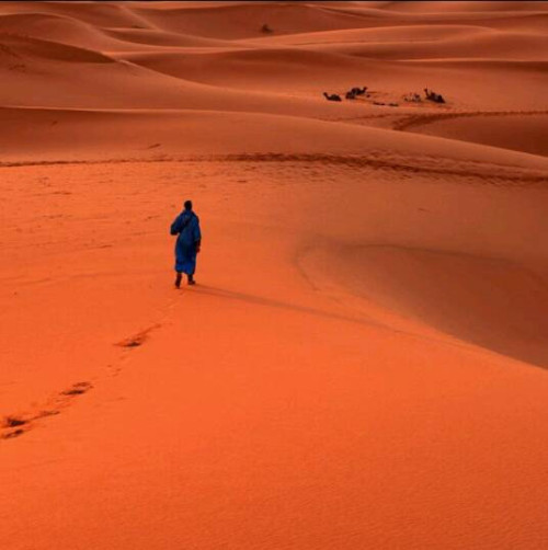 求一张一个僧人行走在红色沙漠里的图片