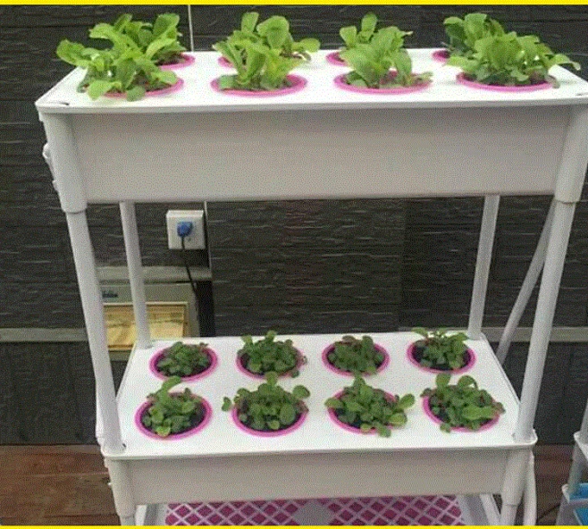 阳台种菜水培种植设备 无土栽培蔬菜种植箱 家庭菜园组合花盆双层