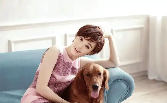 不拍戏就"销声匿迹",不参加综艺的孙俪,打了多少明星的脸?