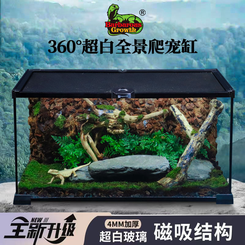 进口bg守宫鬃狮蜥蜴饲养箱爬宠角蛙蜘蛛饲养盒雨林生态造景玻璃饲