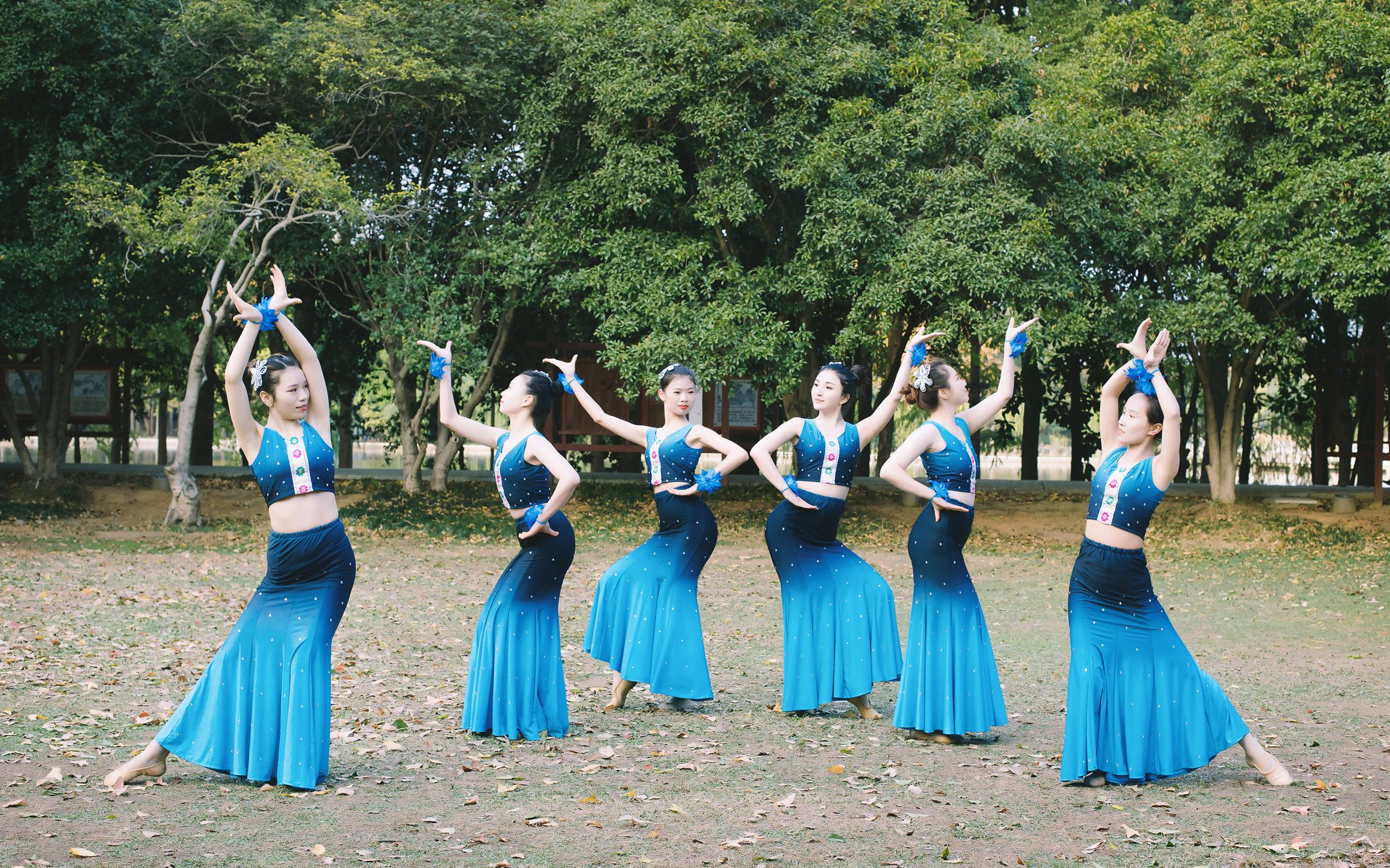 经典舞蹈傣族舞《月亮》最美三道弯【单色舞蹈】_哔哩哔哩 (゜-゜)つ