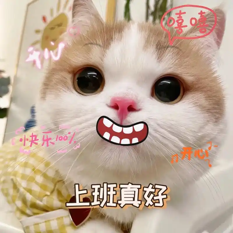 重新定义了上班的意义,我好像爱上上班了～#发给对象表情包 # - 抖音