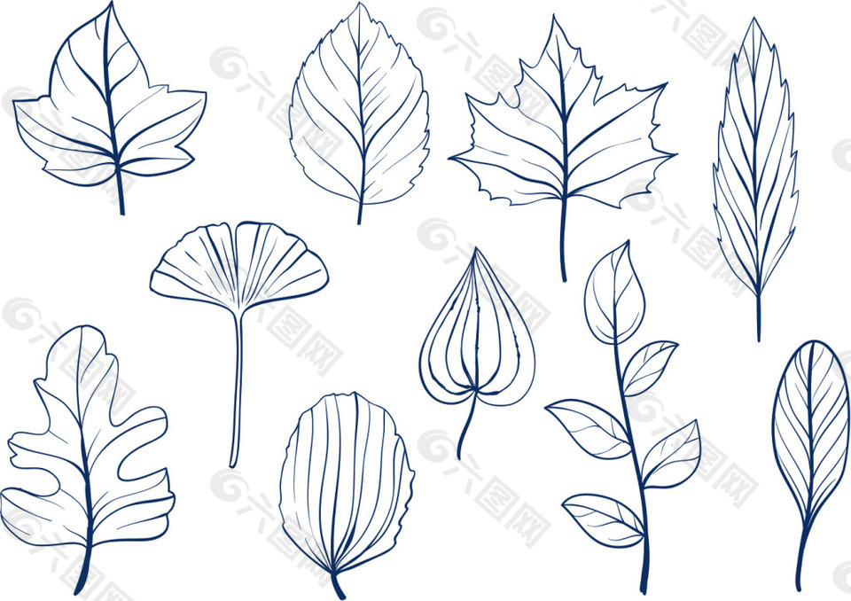 手绘线性树叶素材