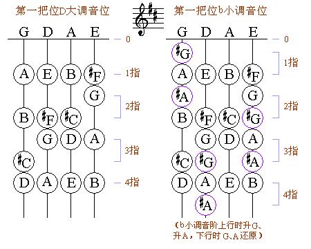 谁帮我弄一个小提琴实体的把位对应音符的图片,第一把位就行.