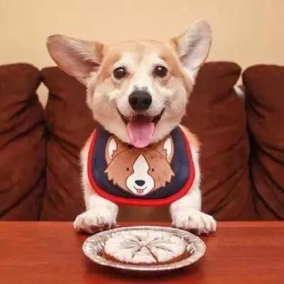 情侣头像丨如果你特无聊,我们就一起聊