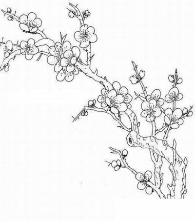 桃花树大树简笔画