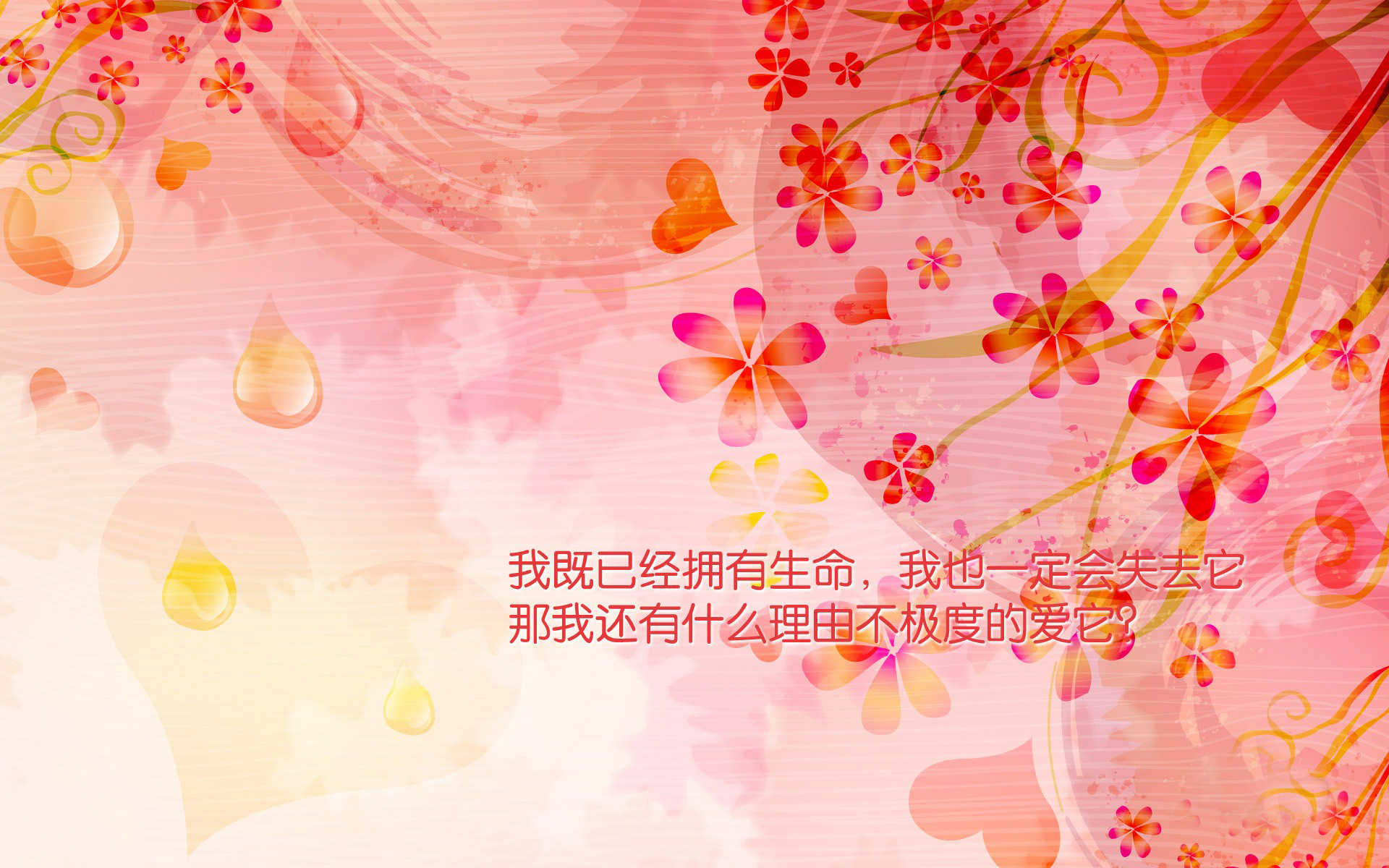 充满正能量的简约背景励志文字语录图片电脑桌面壁纸高清 第二辑