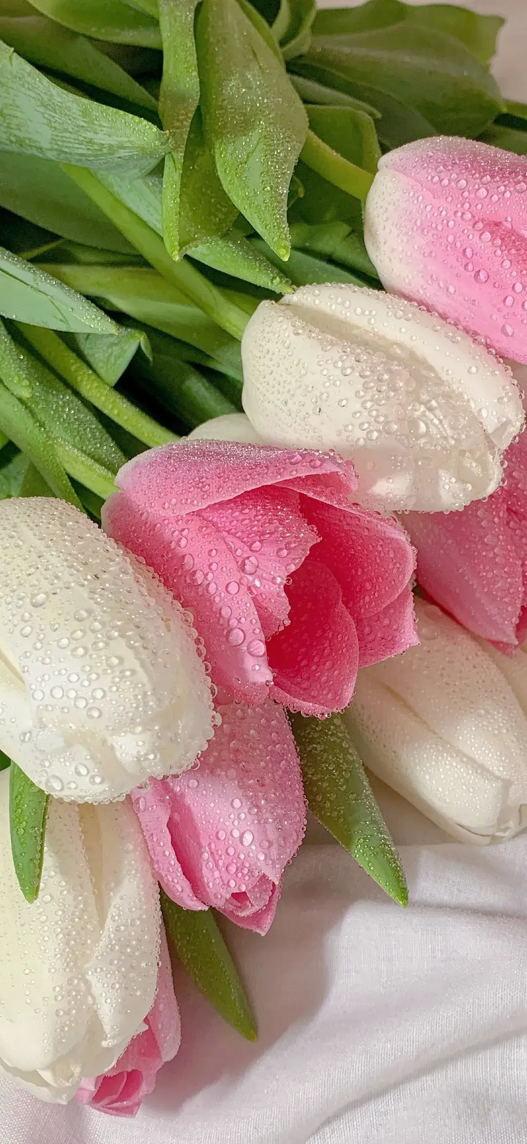 1080_2341竖版 竖屏