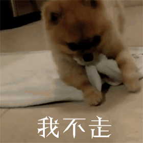 沟谷翻身毛巾我不走gif动图_动态图_表情包下载_soogif