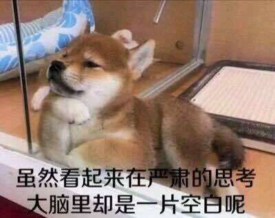 这两天搞定了这个表情包的问题,因为之前说过,我写文章需要表情包来