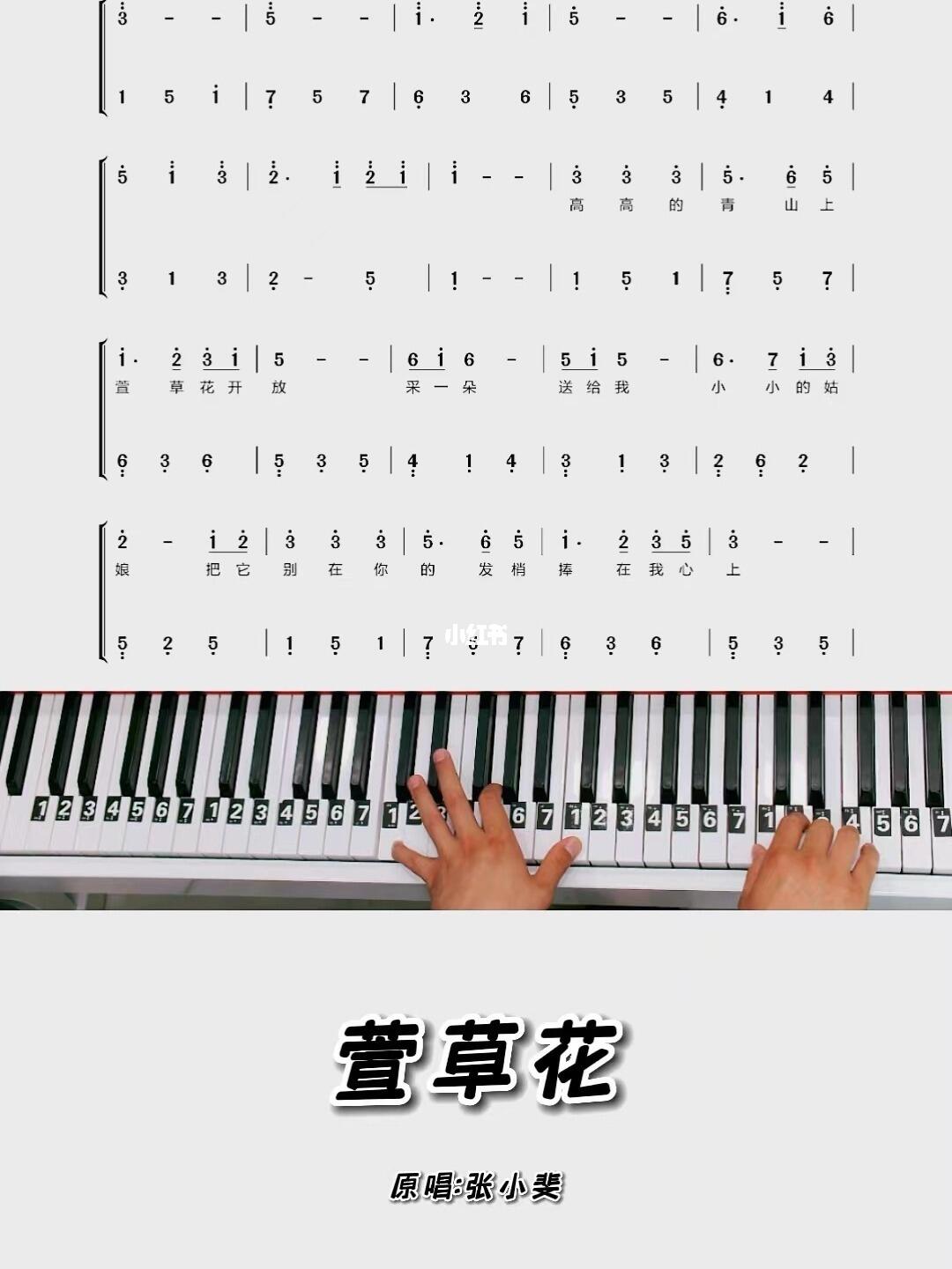 萱草花钢琴简谱教学零基础版