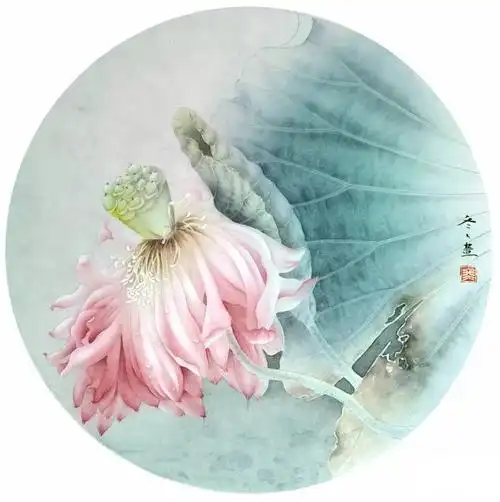 【国画教程】杨冬冬工笔荷花《瑶光》图文解析