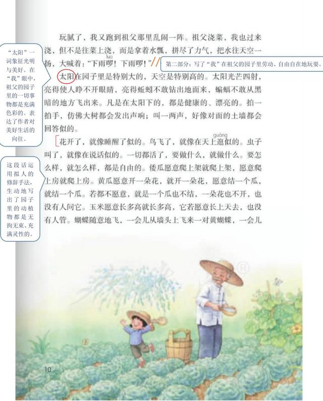 五年级语文下册《祖父的园子》课文笔记